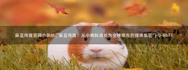 麻豆热门演员