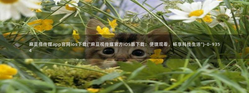 麻豆传媒