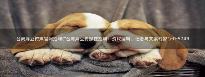 麻豆视频泛目录词