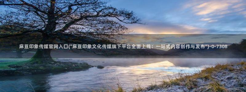 麻豆视频标签