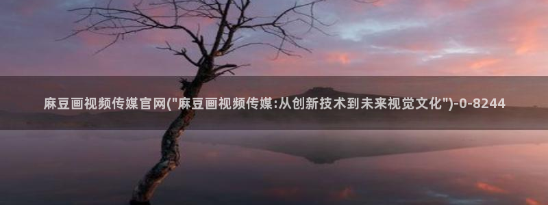 麻豆视频花絮