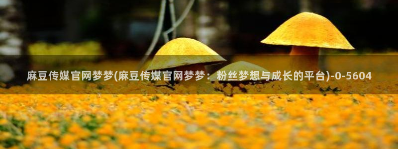 麻豆视频文章标题