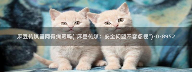 麻豆视频详情文案