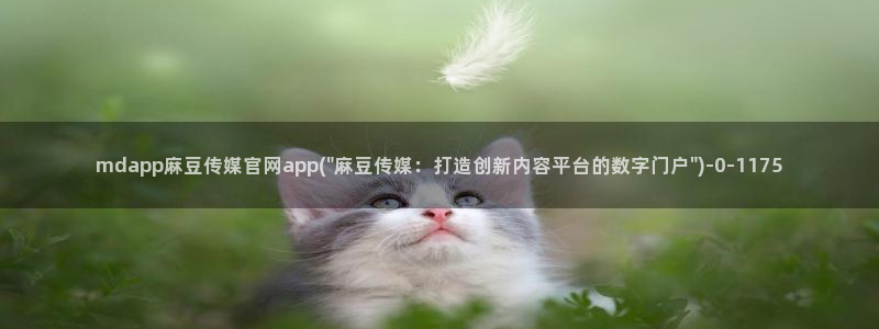 麻豆分类库