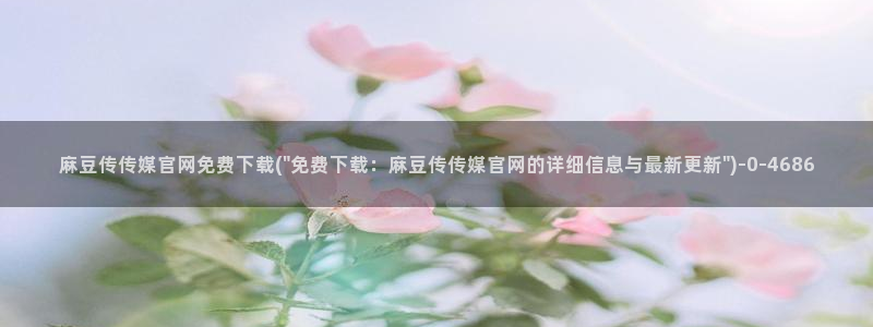 麻豆视频栏目规划