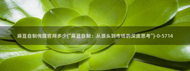 麻豆视频相关推荐词