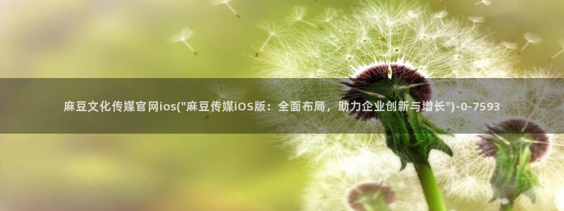 麻豆视频目录