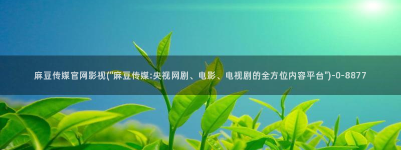 麻豆最新视频