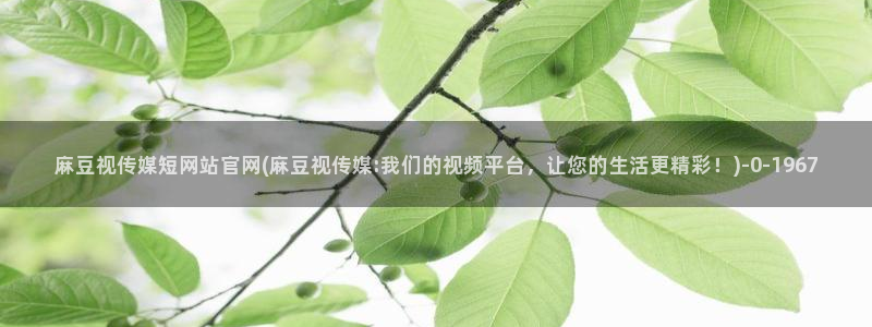 麻豆内容优化