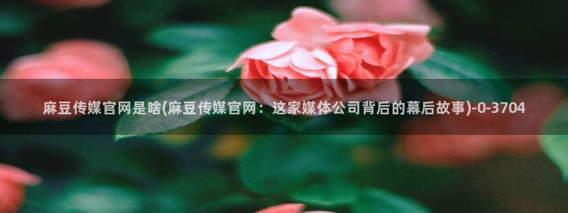 麻豆视频站内文案