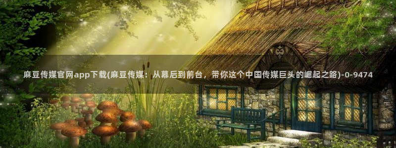 麻豆视频分类名称