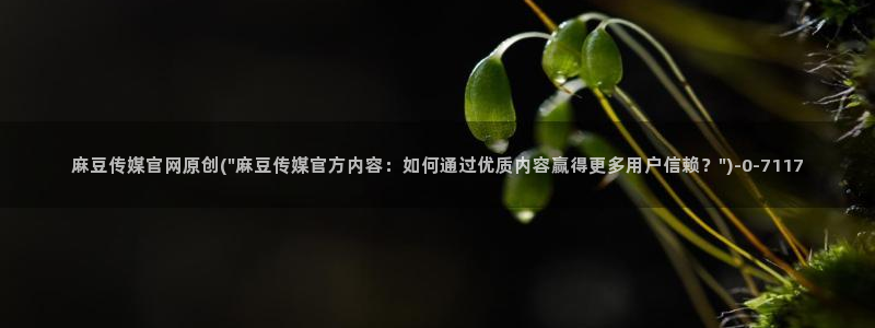 麻豆热门演员