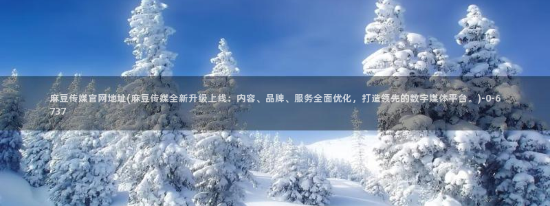 麻豆视频分类目录