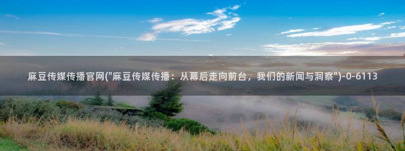 麻豆视频关于我们