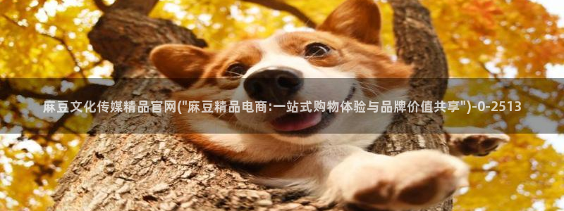 麻豆视频分类规则