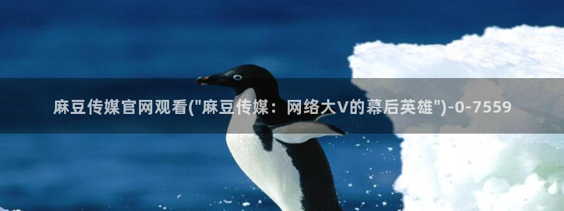 麻豆视频盘点文案