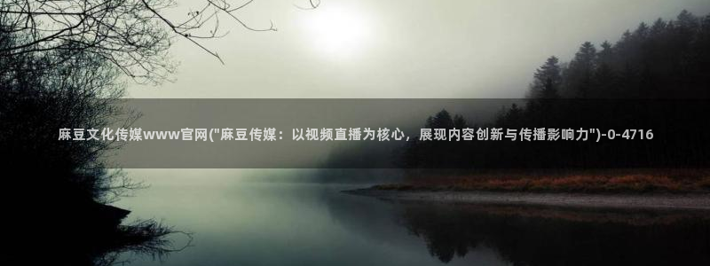 麻豆片单推荐
