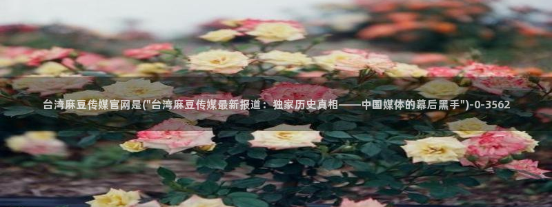麻豆视频收藏