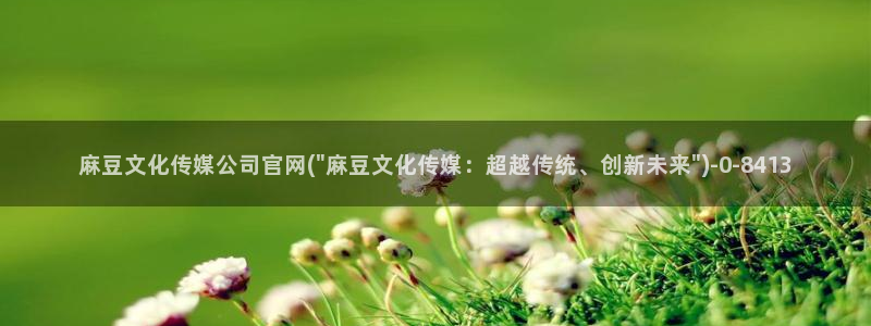 麻豆站内搜索
