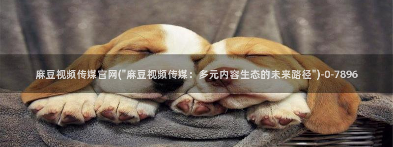 麻豆视频精准词