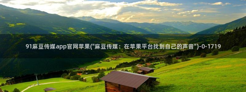 麻豆视频分类名称