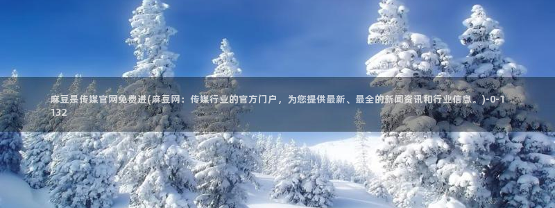麻豆百度收录