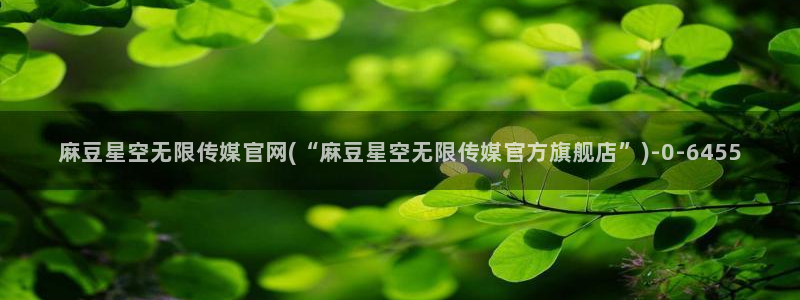 麻豆视频关于我们